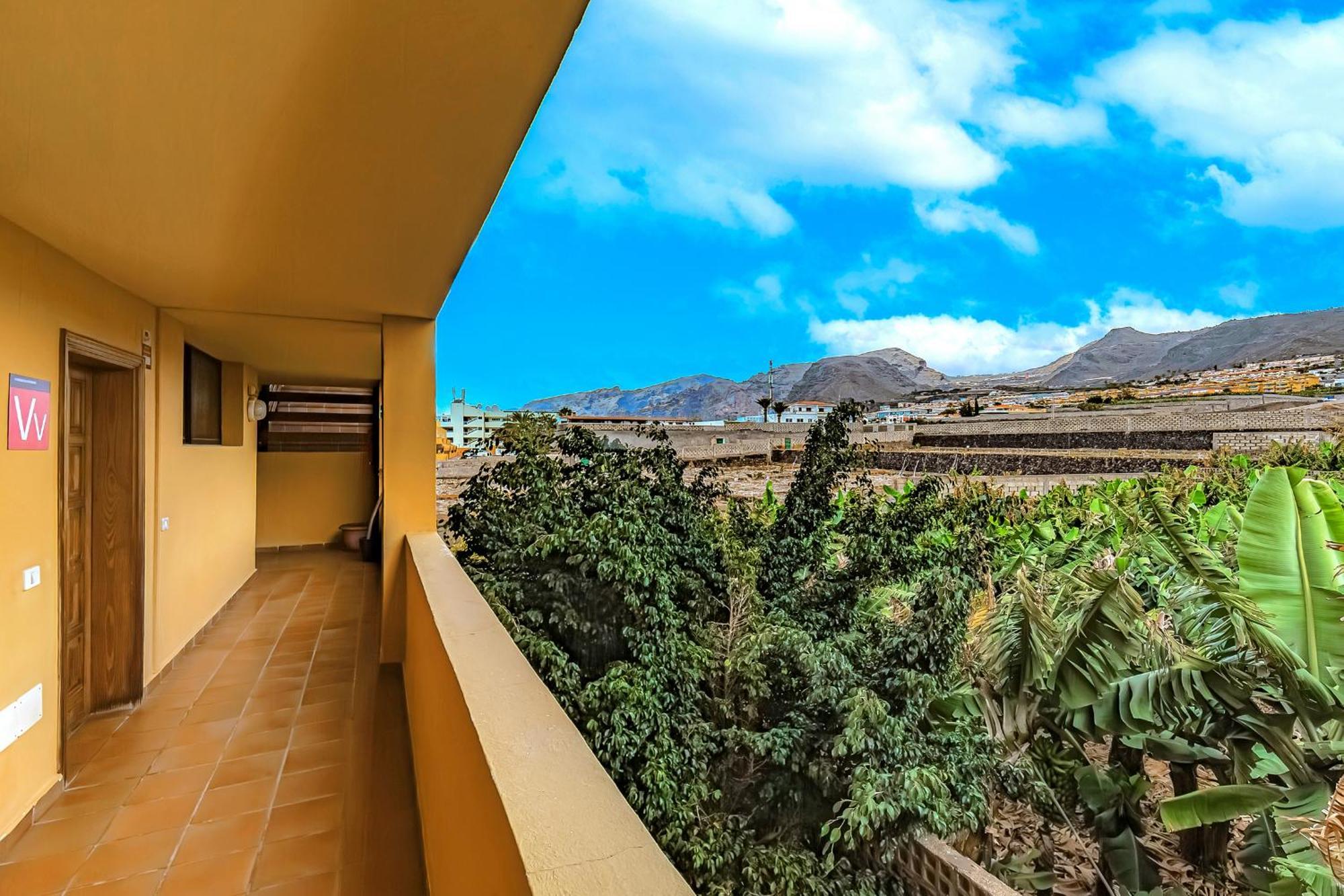 Sunflower Sea And Teide View Puerto de Santiago  Extérieur photo